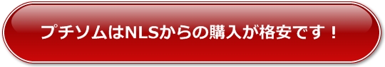 �v�`�I����NLS����̍w�����i���ł�