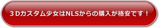 USBオナホールと3Dカスタム少女はNLSからの購入が格安です
