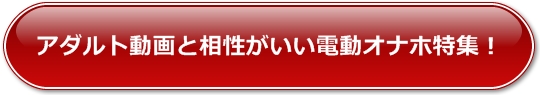 �A�_���g����Ƒ����������d���I�i�z���W