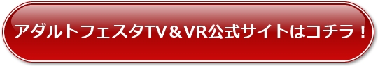 �A�_���g�t�F�X�^TV��VR�����T�C�g�̓R�`��