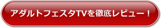 �A�_���g�t�F�X�^TV��O�ꃌ�r���[�I
